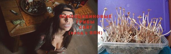 тгк Аркадак