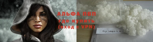 PSILOCYBIN Армянск