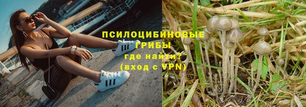 тгк Аркадак